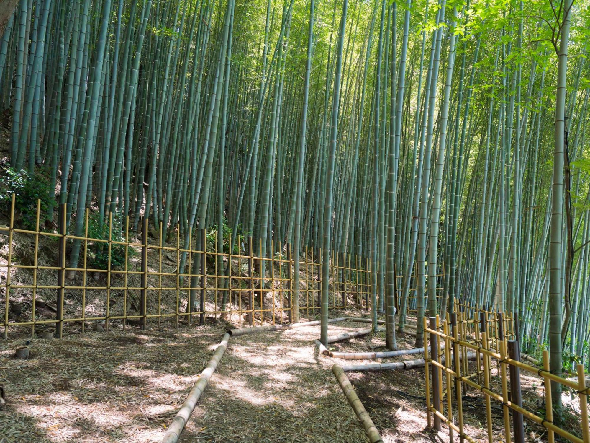 Banyan Tree Higashiyama Kyoto Hotel Exterior photo
